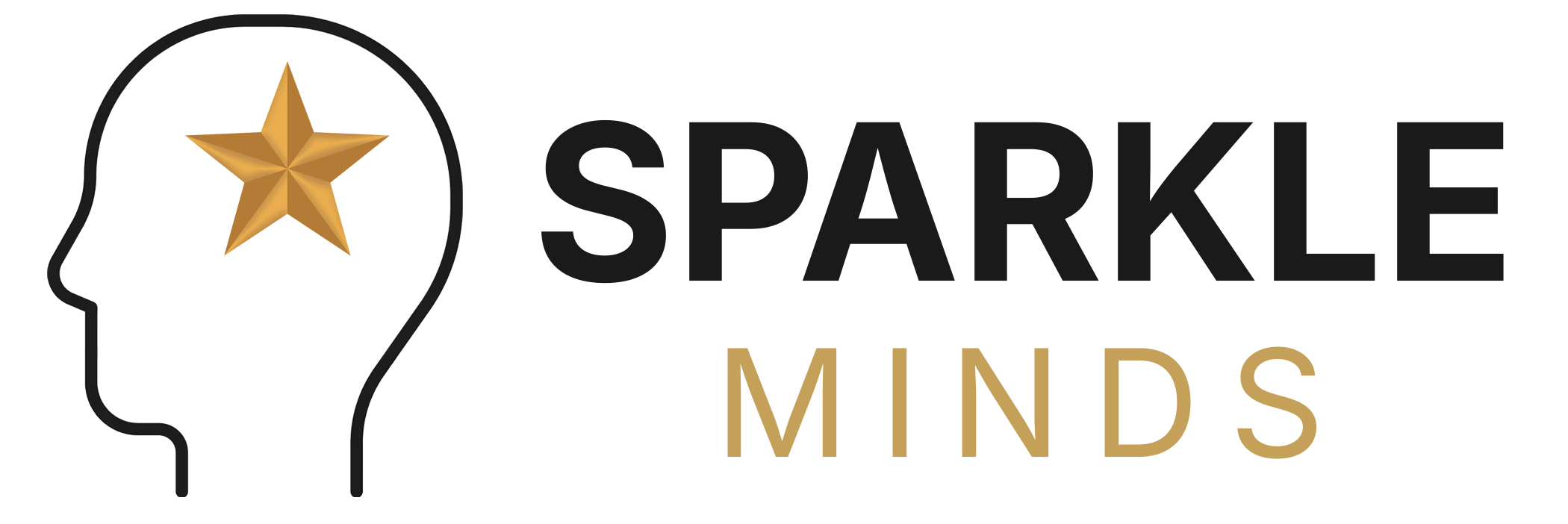Sparkle Minds
